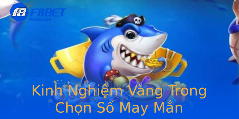 Kinh Nghiệm Vàng Trong Chọn Số May Mắn Kinh Nghiệm Vàng Trong Chọn Số May Mắn